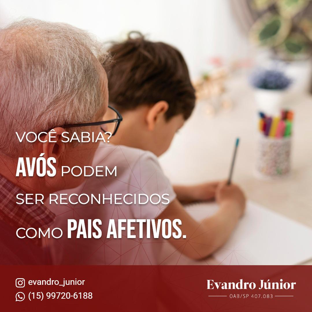 Avós reconhecidos como pais socioafetivos em relação afetiva com neto