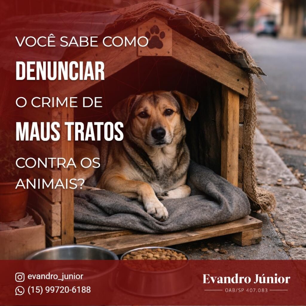 Saiba como denunciar maus-tratos animais, o que diz a lei e quais medidas tomar para proteger o animal e garantir responsabilização em 2026.